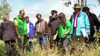 Así defendió la Bogotá Humana la Reserva Forestal Thomas Van der Hammen