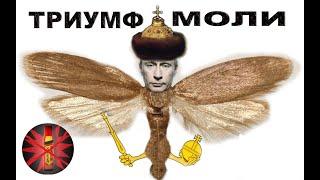 Путин «Триумф моли» и взрывы домов в 1999 году. Путинизм как он есть. #Путин #криминал #коррупция