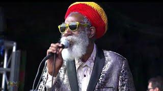 Don Carlos - Just A Passing Glance (Live at California Roots 2019)
