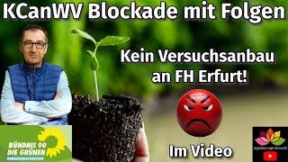 Grüne blockieren Konsumcannabis-Wissenschaftsverordnung KCanWV - kein Versuchsanbau der FH Erfurt!