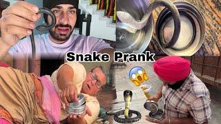 Box Opening Snake Prank  | Halorious Reaction  | Jass Vlogs