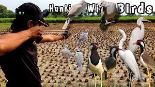 SLINGSHOT HUNTING Birds Egrets, Lapwing and Dove | Slinghshot Short & Long Range Hunting