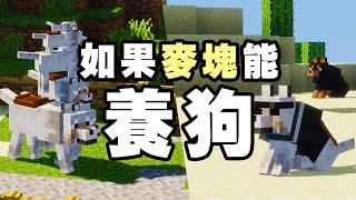 如果 Minecraft 是一款養狗遊戲？你丟我撿、抓魚、打怪、騎乘樣樣都行！Minecraft 模組教學 - Doggy Talents 養狗模組