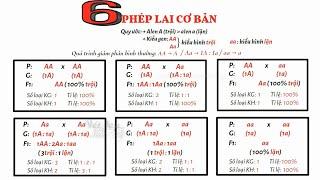 6 PHÉP LAI CƠ BẢN CẦN HIỂU CHO BÀI TẬP CÁC QUY LUẬT DI TRUYỀN