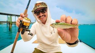 6 Days Fishing Big Tarpon and Snook - First Trips on the NEW Boat!