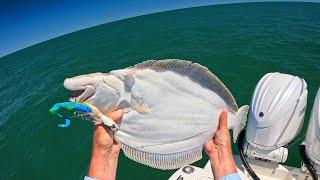 Ocean Fluke (Summer Flounder) Limit As The Bite Turns On!