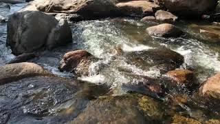 I AM WADING STREAMS. Dak Lak Province.