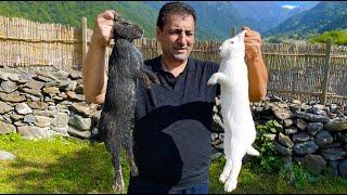 HOW TO COOK RABBIT IN THE WILDERNESS |  BEST RABBIT COOKING RECIPE BY CHEF TAVAKKUL