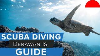 Scuba Diving Derawan Islands Guide w/  @AggressorAdventures   #scuba #indonesia