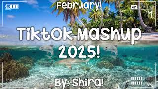 Tiktok Mashup 2025! 