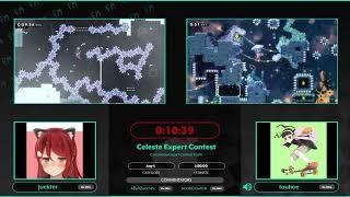 Celeste Expert Contest, Any% by juckter and touhoe - FM 2024