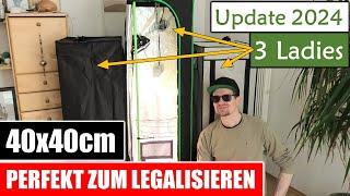 Mini Growbox 40x40x120 + 160  | Mein Komplettset 2024 | Legalisierung | Ertrag, wie viele Pflanzen