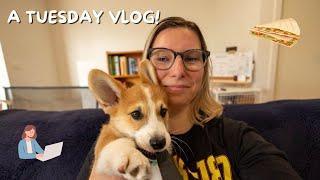 VLOG: Exploring The Everyday