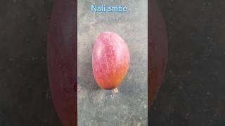 Nali ambo #viral#trending#comedyfilms#dance#Cute ambo# nali ambo