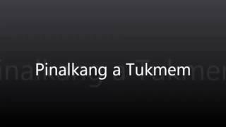 Pinalkang a Tukmem (ilocano song)