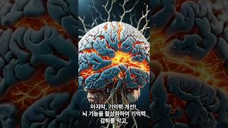 강화도 인삼의 효능 5가지