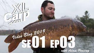 Fryerning Fisheries Video Blog Ep 3 Feb 2019 with Adam Penning
