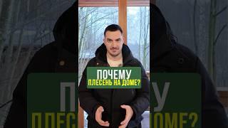 Лайфхак: ИДЕАЛЬНАЯ КРАСКА на деревянный фасад #Строительство #Дача #Беседка