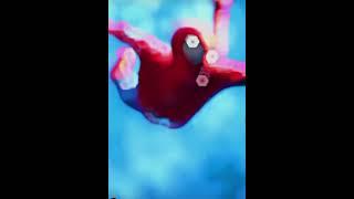Amazing spider man edit #shorts #spiderman