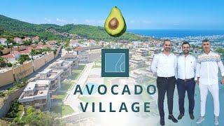 Avocado village