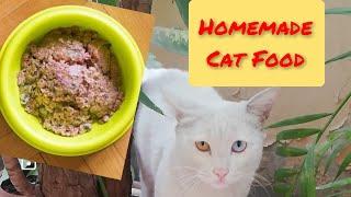 How to make cat food at home|Homemade cat food|