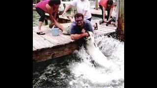 (SLOW MOTION) Fish Grabs Man's Arm! (THE Original Video) - Tarpon Smackdown!