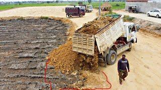 Fantastic dump truck pouring soil filling to update land with Bulldozer Komatsu D53P pushing