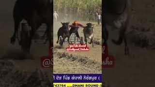 Top Race ️ #oxraces #sidhumoosewala #justiceforsidhumoosewala #viral #trending