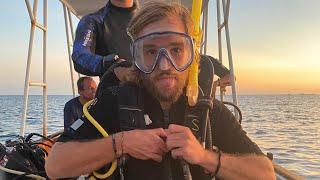 Was ist ein Divemaster und warum hab ich das gemacht? / Vlog#58