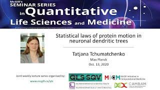 QLS Talk: Statistical laws of protein motion in neuronal dendritic trees