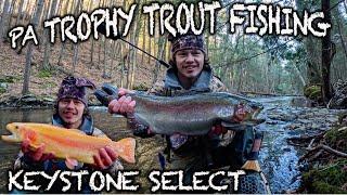 Fly Fishing PA TROPHY Sized Trout (Keystone Select 2025)