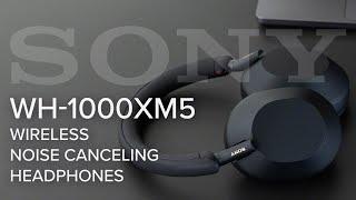 Sony WH-1000XM5 Review - The BEST Noise Canceling Headphones! Better than XM4's?!