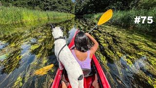 Spływ przepiękną Krutynią, Mazury #75