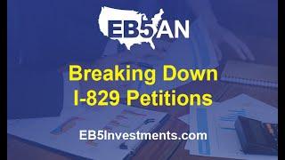 Breaking Down I-829 Petitions