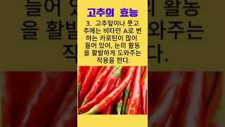 고추의 효능  #고추 #궐채 #건강정보 #건강식품 #100세건강