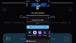 CONNECT YOUR TON WALLET FOR $DOGS AIRDROP |  How to WITHDRAW $DOG AIRDROP ($378+)