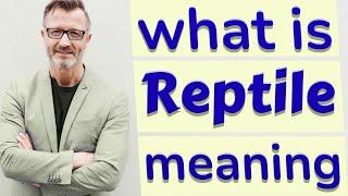 Reptile | Definition of reptile