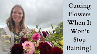 Cutting Flowers During A Very Rainy Summer