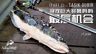 【FishingShare】寻找巨大多曼妈妈的最后机会！TASIK GUBIR多曼鱼花季节记录！第二集ft Ivan| The last chance for giant MAMA TOMAN!