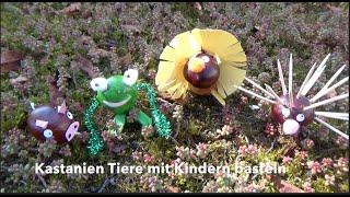 Kinder Outdoor basteln: Kastanientiere