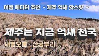 [제주도여행] 올 가을 최고의 명장면을 연출한  새별오름과 산굼부리 억새 핫스팟