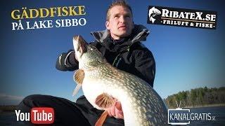 Ribatex TV | Pike Fishing in Lake Sibbo (English Subtitles)