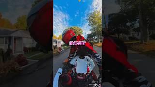 Have you ever ran over an animal ?  #bikergirl #motorcycles #bikelover #insta360