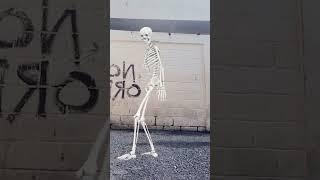 Skeleton dance #vfx #feedshorts #efectos