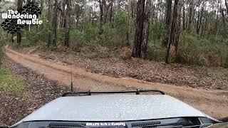 Taylors Creek Road Campground - Eildon NP - Victoria