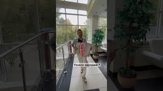 Прикольная мелодия на баяне #баянист