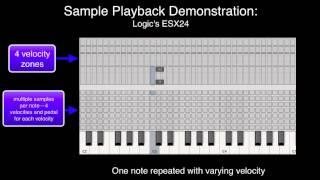 Sample Playback Demonstration