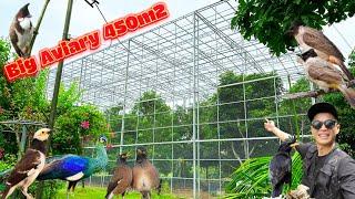 Chiêm Ngưỡng Aviary chim cảnh TO nhất Thanh Hóa rộng 450m2 có nhiều cây ăn quả || Đạt Bird TV