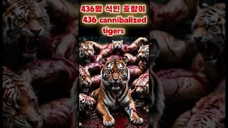 식인 호랑이 전설 / The Legend of the Cannibal Tiger