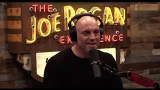 Joe Rogan & Jordan Peterson on Race “Michael Eric Dyson not black”